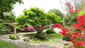 Ein Garten mit Teich, Statue und einem Gebäude im Hintergrund.