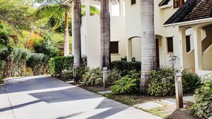 A residential area with a paved driveway leading to a house with a gabled roof and a covered porch.