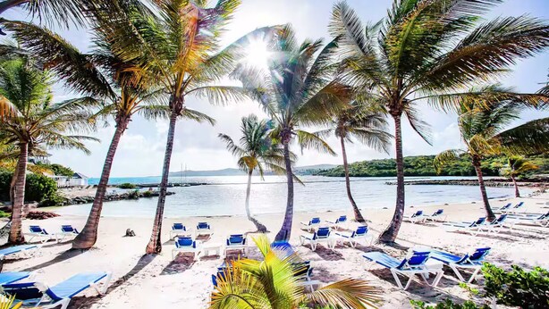 A beach with palm trees, sun loungers, and a view of the ocean.