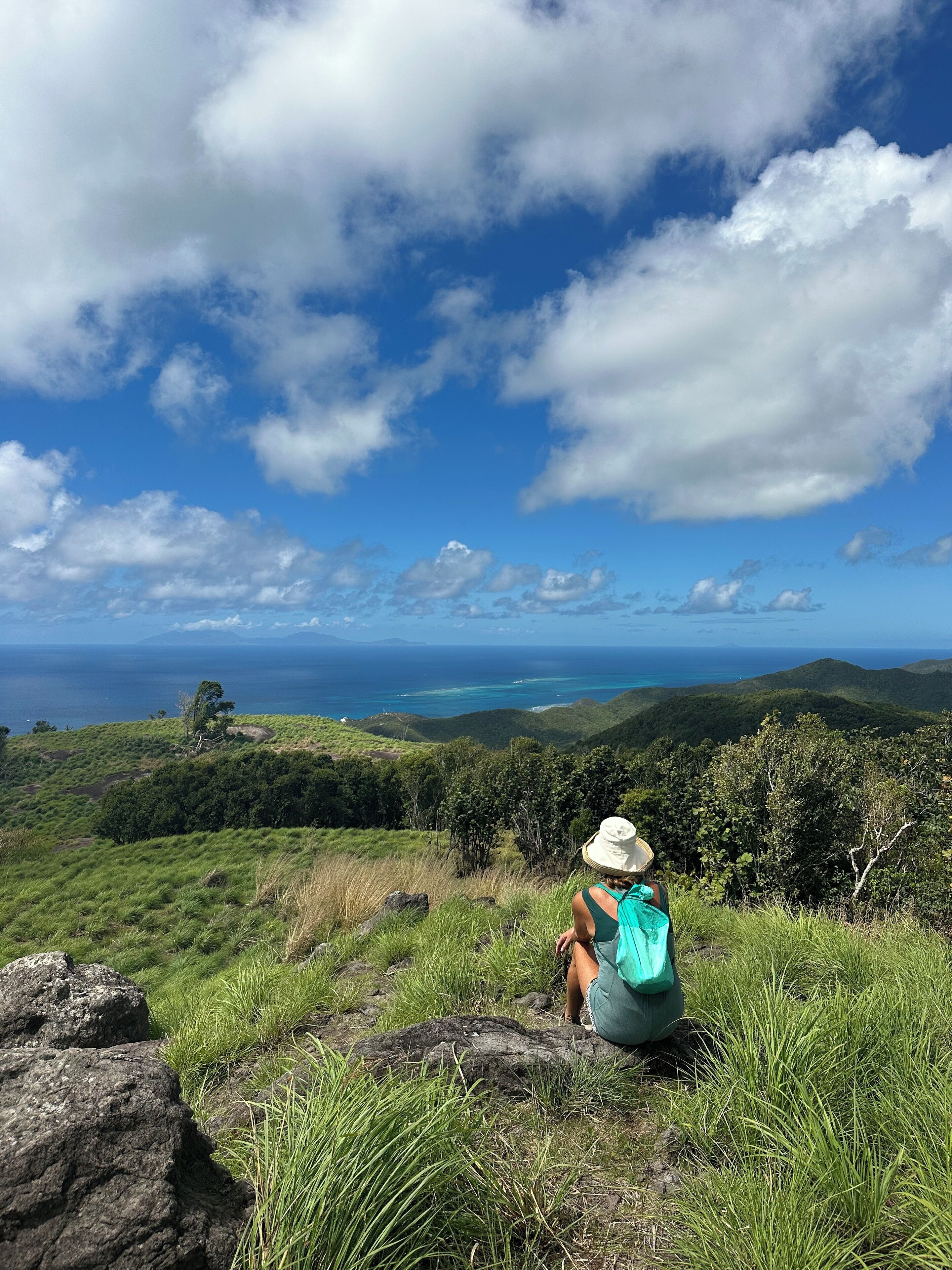 A person sitting on a grassy hill overlooking a coastal landscape with a clear sky.
