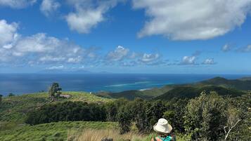 A person sitting on a grassy hill overlooking a coastal landscape with a clear sky.