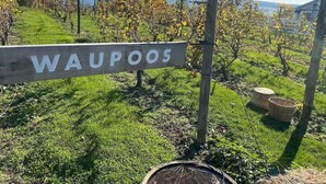 Un viñedo con un letrero que dice "WAUPOOS".