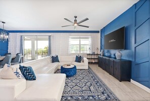 TV, video games, DVD player, books