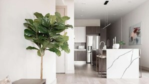 A modern kitchen with a marble island, stainless steel appliances, and a large green plant.