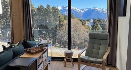 The 1790 *Premium service*