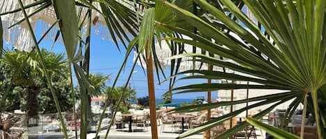 Piscine extérieure (ouverte en saison)