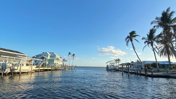 A marina with boats docked, palm trees, and a clear blue sky.