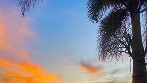 A waterfront view with a dock, palm trees, and a sunset.
