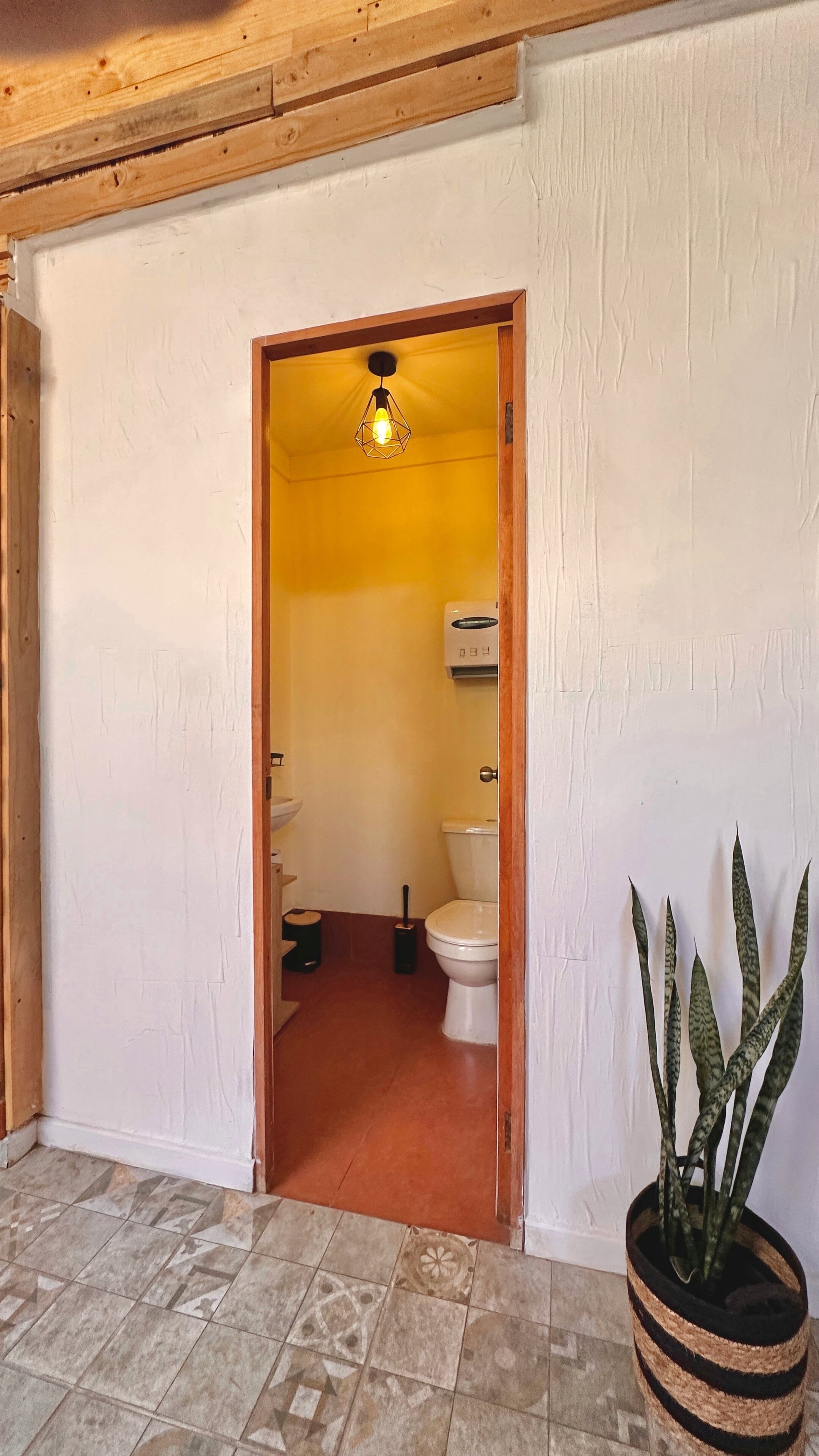 A narrow doorway leading to a bathroom with a toilet, a sink, and a handheld toilet brush. There is a potted plant in the foreground.