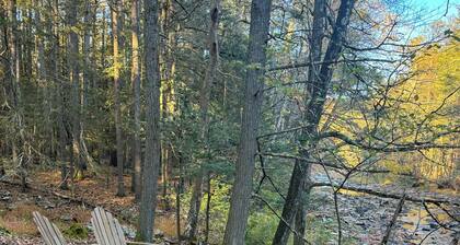 The Creek House - Secluded Stay 10min to Woodstock & Saugerties