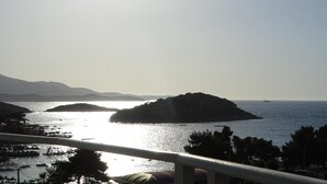 A coastal view with a boat dock, a small island, and a distant ship.