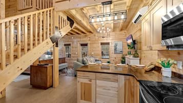 Smart TV, fireplace, video games, video library