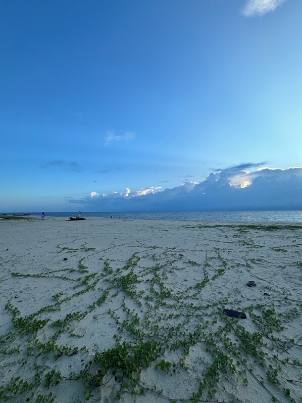 Sun loungers, beach towels
