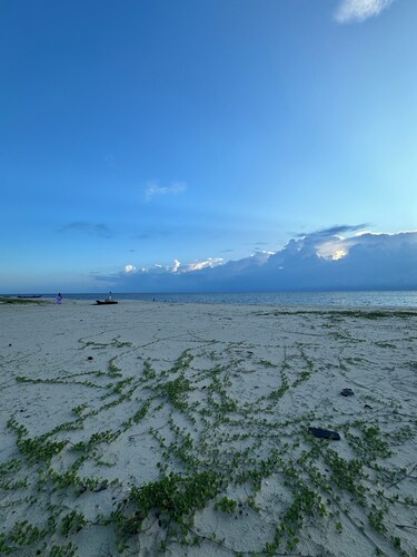 Beach Front Home in Marari : Marari Helen Villa