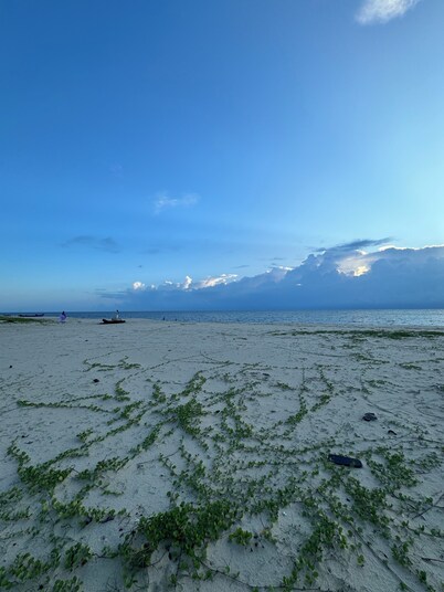 Beach Front Home in Marari : Marari Helen Villa