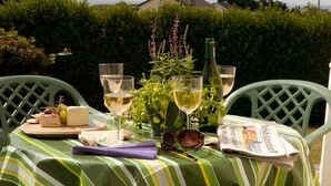 A table with a green and white striped tablecloth, two glasses of white wine, a bottle of wine, a plate with cheese and grapes, a book, and a newspaper.
