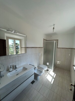 Shower, hair dryer, bidet, towels