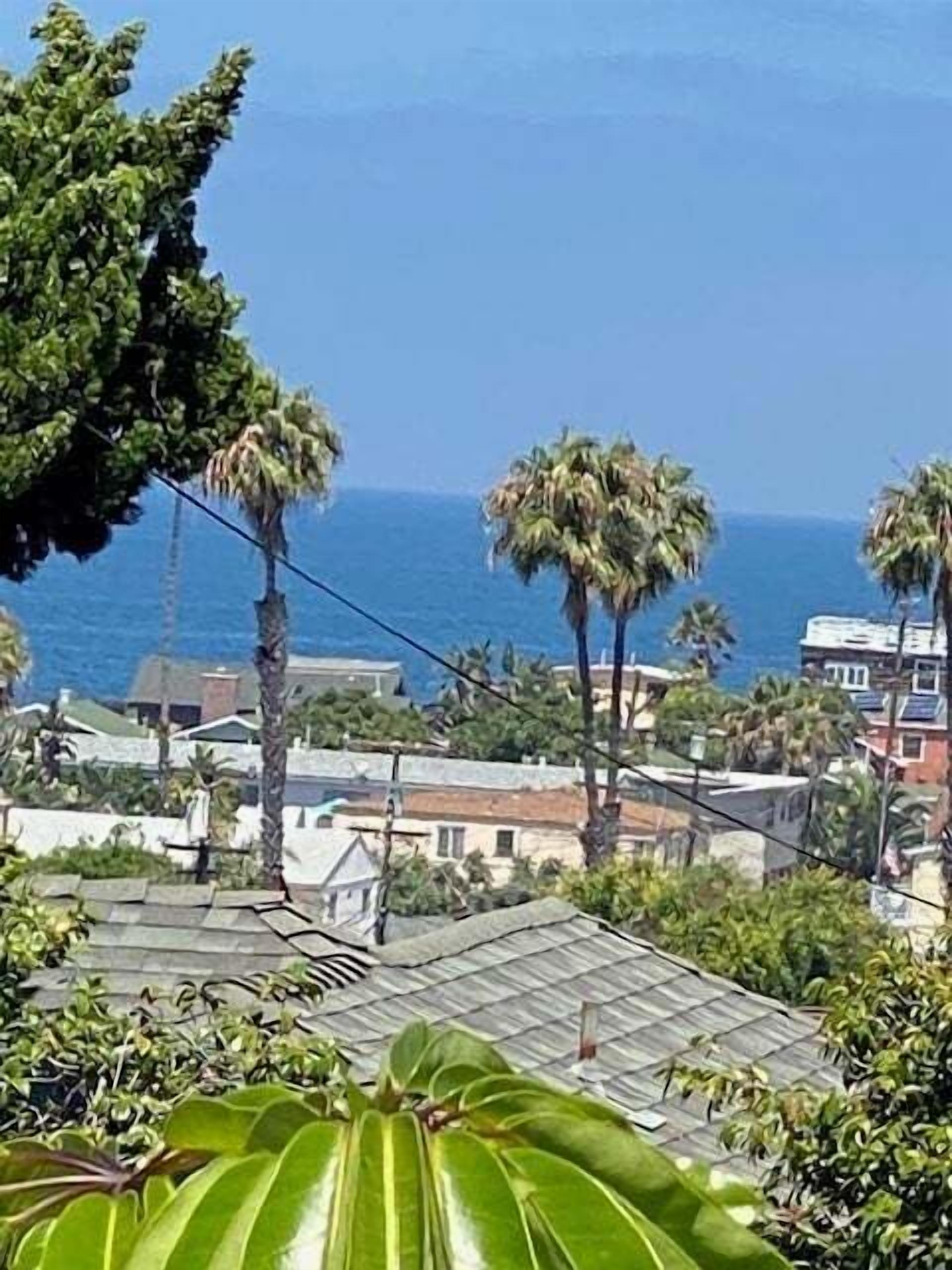 A coastal view with palm trees and buildings in the background.