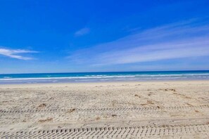 Beach nearby - Cozy Kingston 1 (San Diego)