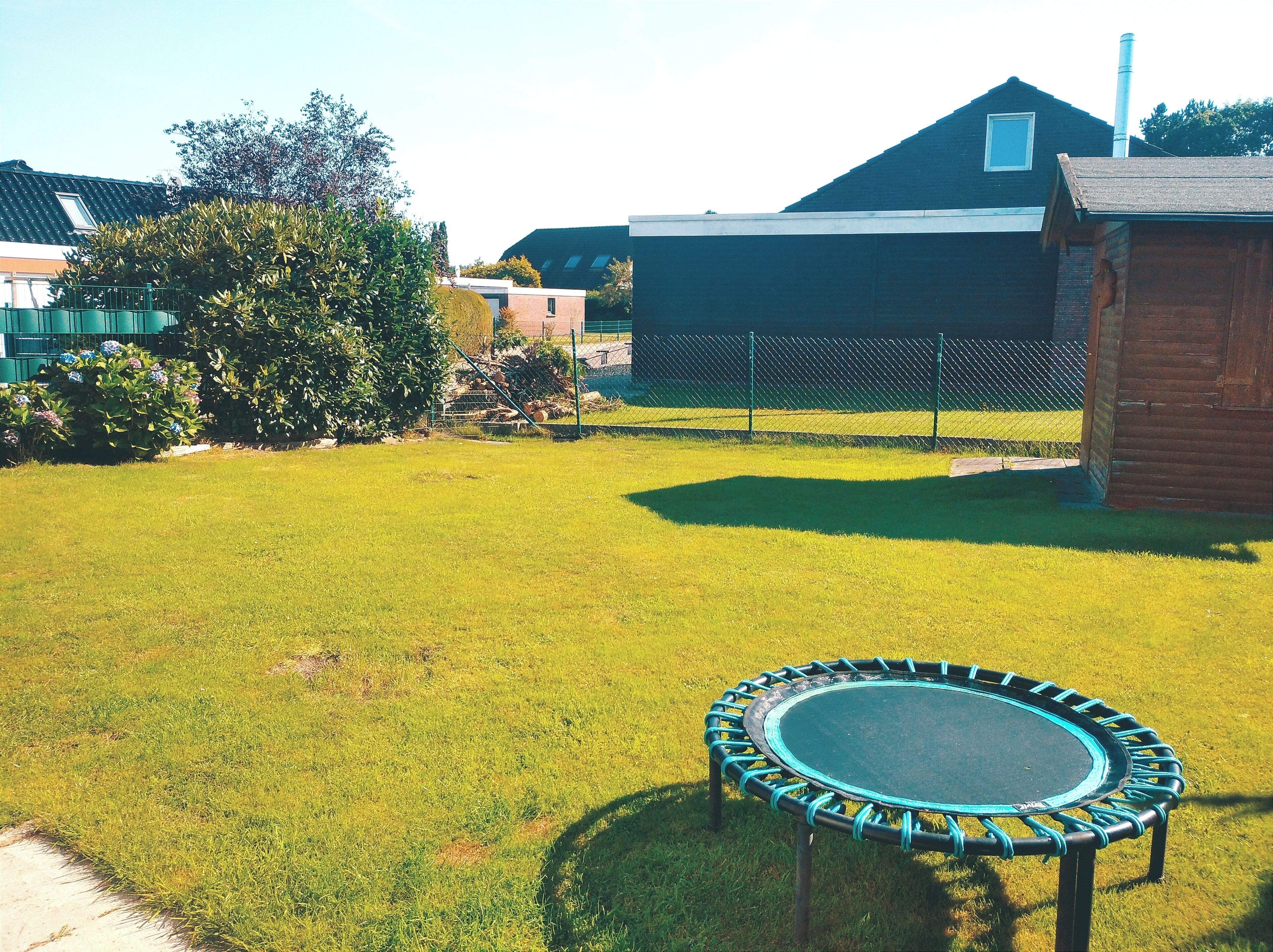 A grassy backyard with a trampoline, a wooden shed, and a fenced area.