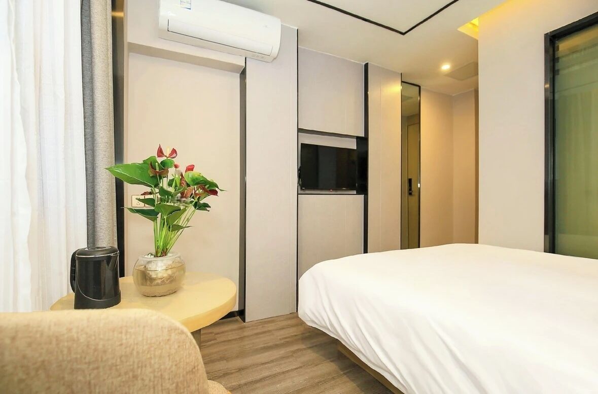 A modern hotel room with a bed, a small table with a plant, a wall-mounted TV, and a sliding door.