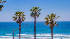 A beach with palm trees and a view of the ocean. - See the Sea 52 (San Diego)