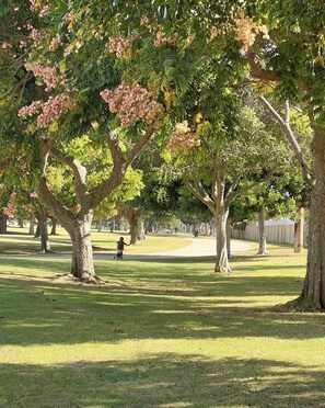 Property grounds