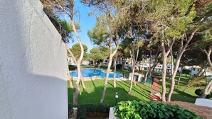 Vista de una piscina rodeada de árboles y un césped bien cuidado.