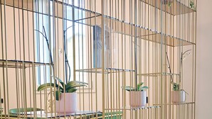A modern interior with a metal partition, green chairs, a table with a cushion, and potted plants. - Hotel Miratorre (Pisa)