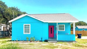 A small, single-story house with a bright blue exterior and a pink door.