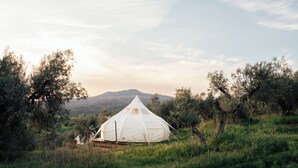 A white tent in a grassy field with trees and a mountain in the background. - Stargazer – Your Sky‑View Hideaway in the Tuscan Hills (Toskana)