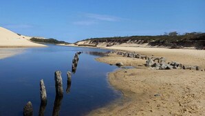 A sandy beach with a calm body of water and wooden posts.