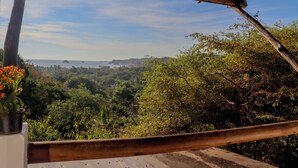 Vista desde un balcón sobre un paisaje exuberante con vegetación densa y colinas distantes.