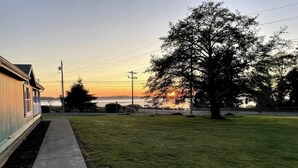 A grassy yard with a concrete path leading to a house. - Rosie's Surf Shack: 3 BR, 2 BA house in beautiful Grays Harbor (Grays Harbor County)