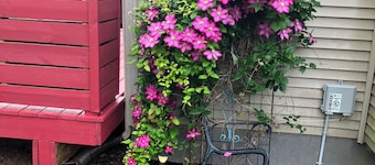 Charming 2-bedroom bed & breakfast in wonderful Ypsilanti with WiFi, AC