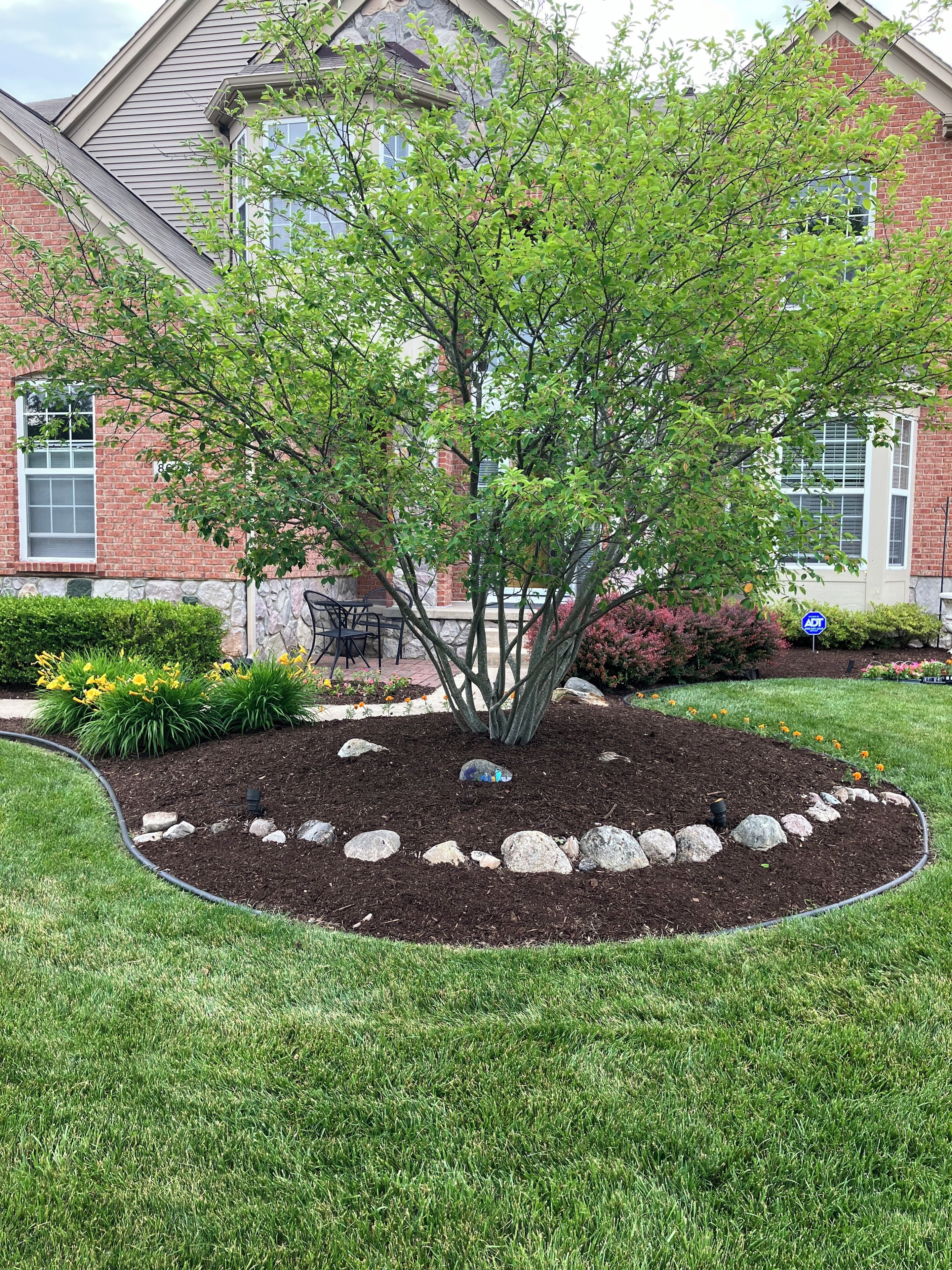 A landscaped garden with a tree, rocks, and a lawn in front of a brick building.