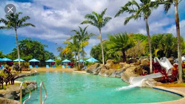 Ein Pool mit Wasserfall, umgeben von Palmen und Felsen.