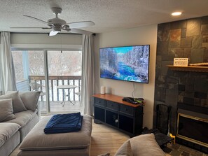 TV, fireplace