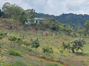 Exterior - 3-bedroom villa Platanillo, Wifi, AC, at river, magnificent view on forests. (Platanillo)