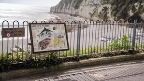 A coastal view with a metal fence, a signboard, and a beach in the background. - The Dolphin (Beer)