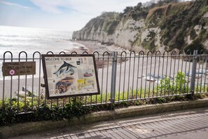 Exterior - The Dolphin (Beer)