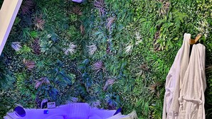 A modern bedroom with a large bed, a jacuzzi, and a wall covered in artificial greenery. - Jungle Évasion, Épernay (Épernay)