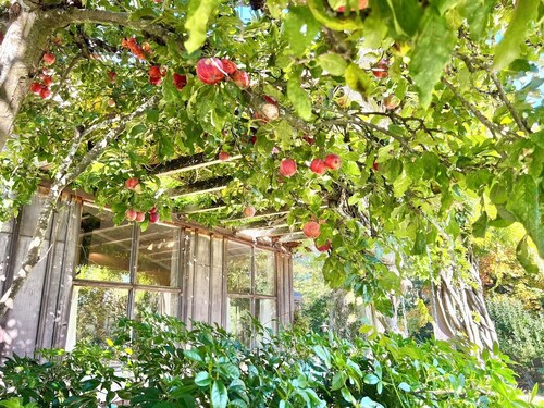 40 Acre Estate, Beach Access, Horses, Sleeps up to 6 on Vashon Island