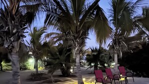 Een resortgebied met palmbomen, ligbedden en een zandpad.