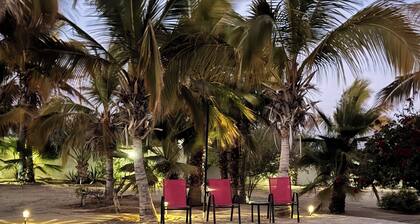 A Beautiful private Beach House w/ Large Pool, surrounded By Palms & Flowers
