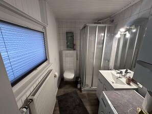Shower, hair dryer