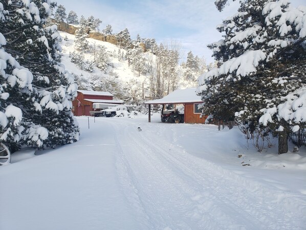 A snow-covered landscape with a wooden building, a truck, and a tractor. - Sheltered Nook Bunk 'n Board
Farm to Table experience (Molt)
