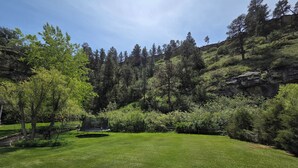 A grassy area with a trampoline, surrounded by trees and a rocky hillside. - Sheltered Nook Bunk 'n Board
Farm to Table experience  (Molt)