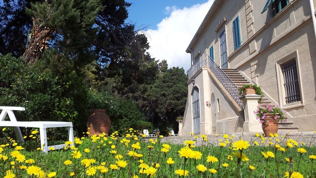 A building with a stone facade, a staircase with a metal railing, and a garden with yellow flowers. - OPENSPACE APARTMENT WITH GARDEN KM 1.5 FROM THE SEA - OLEANDER (Rosignano Marittimo)