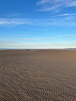 Sun-loungers, beach towels